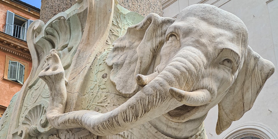 Close view of the head and tusks of Bernini's elephant in Piazza della Minerva