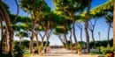 Oragne Garden in Rome