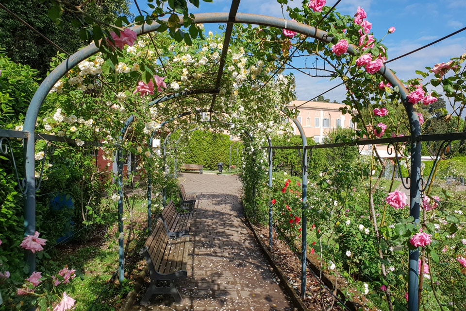 Rose Tunnels Roseto Comunale Rome