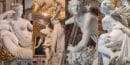 Borghese Gallery in Rome
