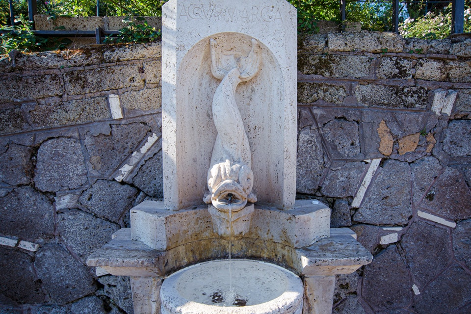 The Dolphin Fountain Rose Garden Rome
