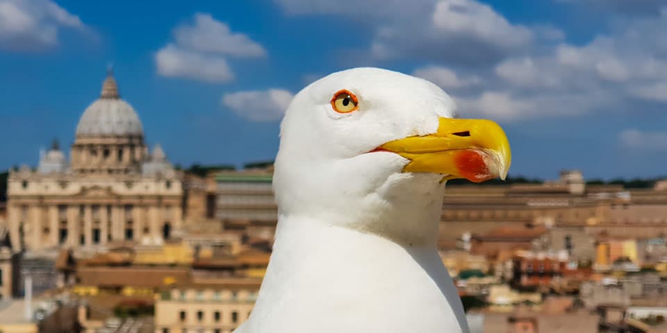 Rome Italy Tourist Attractions