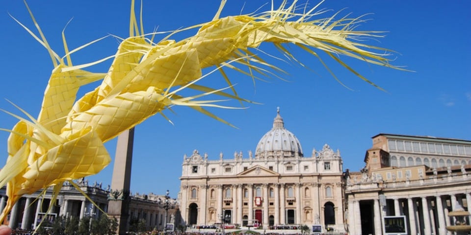 palm tree on St Peter's Square Vatican City