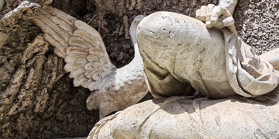 sacred geese of Juno Rome
